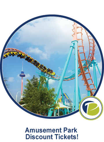 Image of a roller coaster at Carowinds Amusement Park